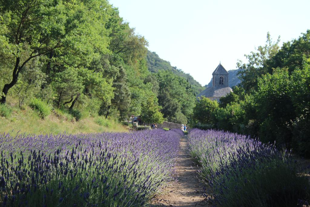 Le Mazet Du Domaine Villa Gordes Dış mekan fotoğraf